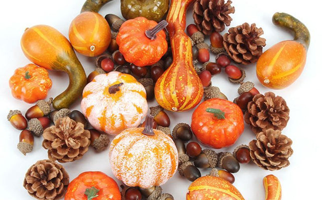 Thanksgiving Pumpkin Props | Festive Holiday Table & Home Decor