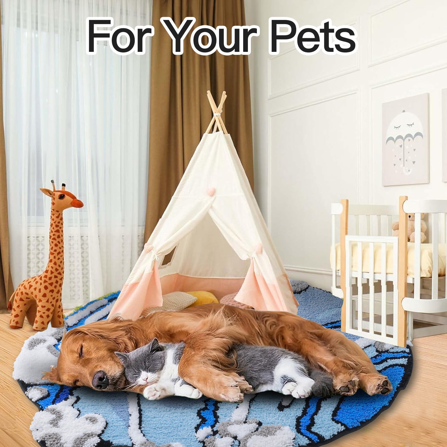 Color Rug For Bedroom - Non Slip Absorbent Floor Mat For Bathroom - Cute Washable Small Shower Mat - Aesthetic Modern Home Decoration Birthday Gifts, Thanksgiving Day Decor, Christmas Decor Home Decor