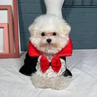 Vampire Pet Costume Halloween Cape for Dogs & Cats 🧛‍♂️